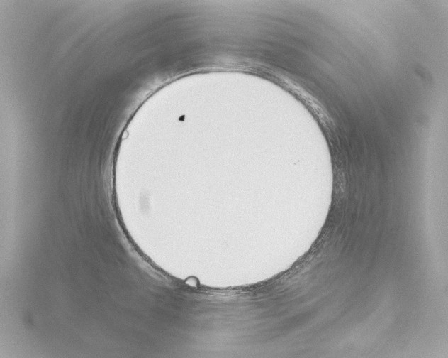 X0000115531479200912181517