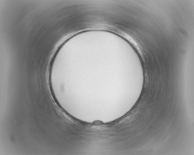 X0000115531480200912181517