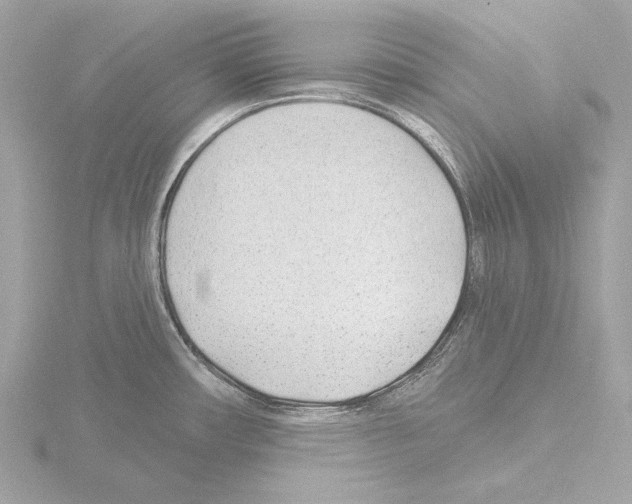 X0000115531482200912181517