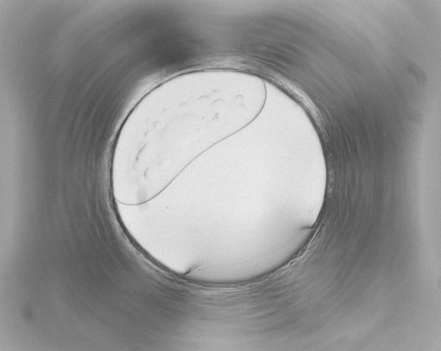 X0000115531483200912181517