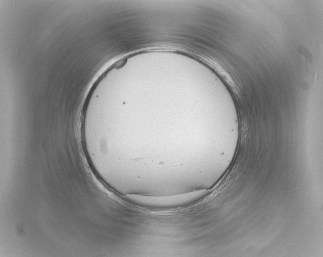 X0000115531484200912181517