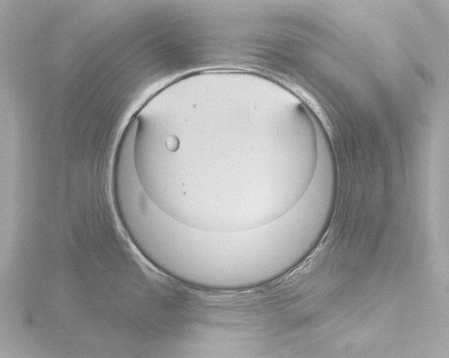 X0000115531485200912181517