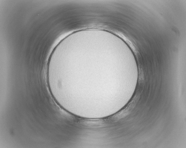 X0000115531486200912181517