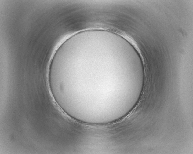 X0000115531488200912181517