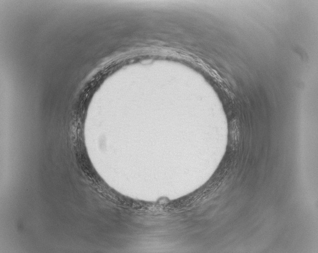 X0000115531495200912181516