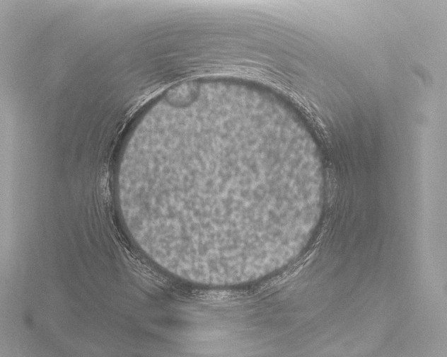 X0000115531497200912181516