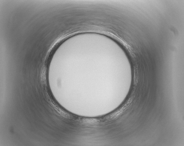 X0000115531498200912181516