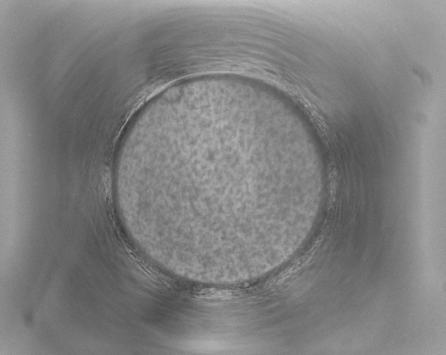 X0000115531505200912181516