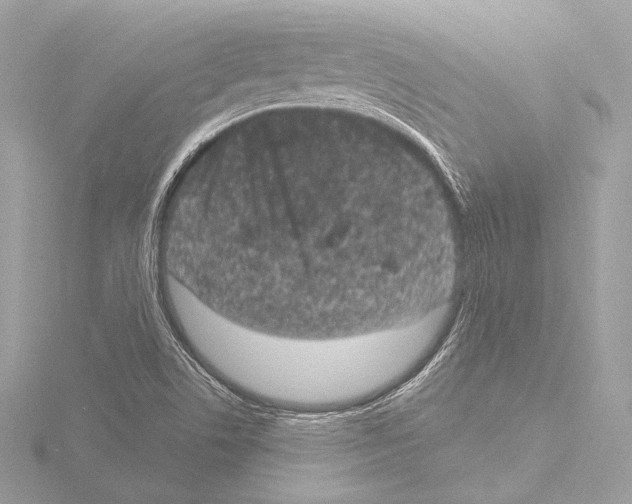 X0000115531506200912181516