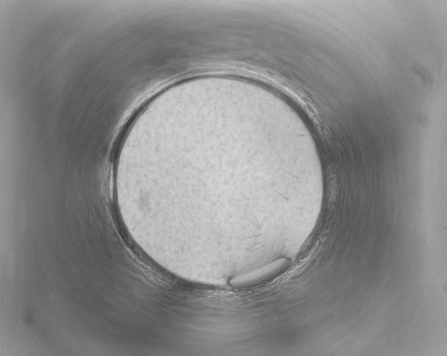 X0000115531509200912181516