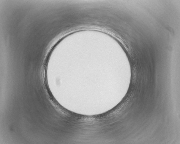 X0000115531511200912181516