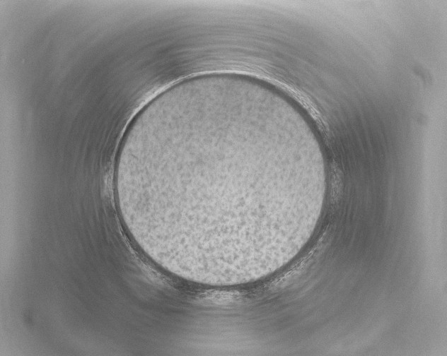 X0000115531513200912181516