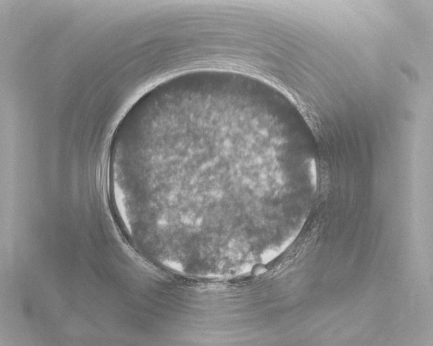 X0000115531515200912181516