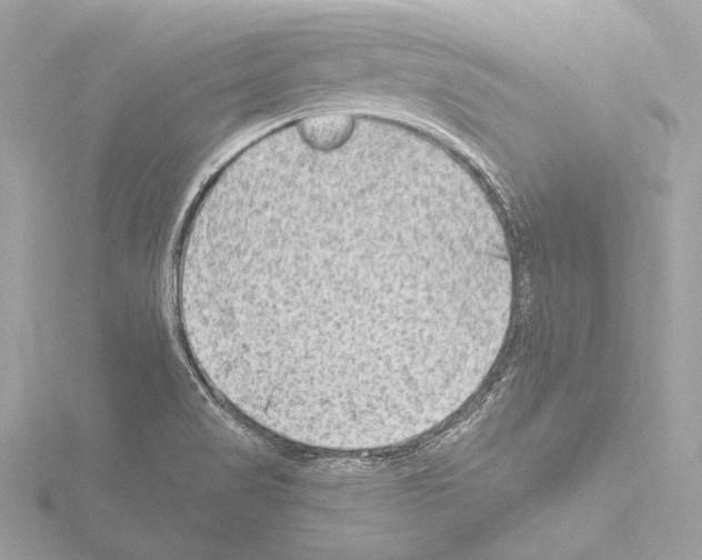 X0000115531517200912181516