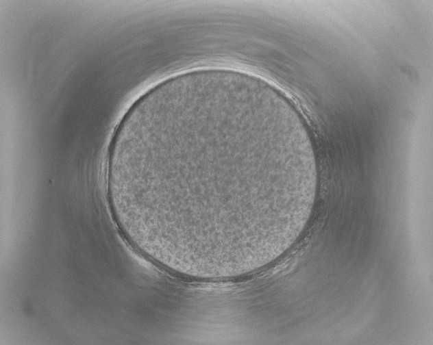 X0000115531519200912181516