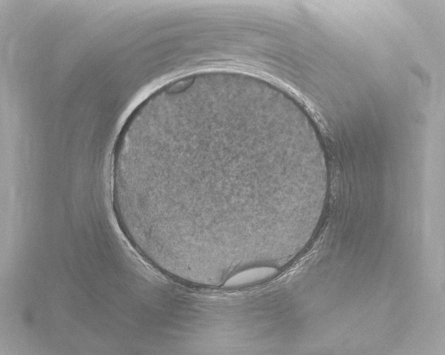 X0000115531522200912181516