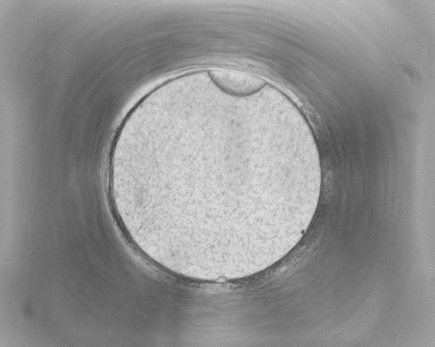 X0000115531523200912181516