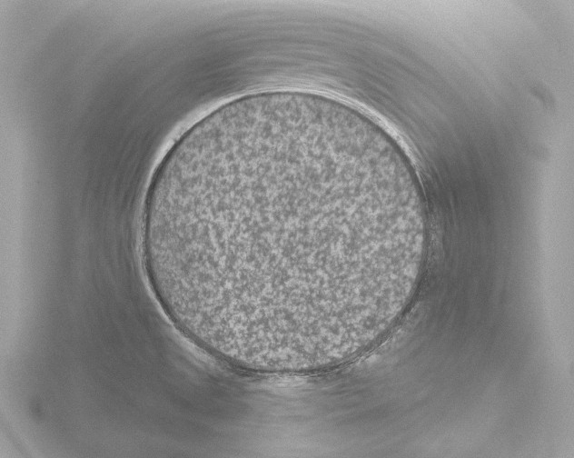 X0000115531525200912181516