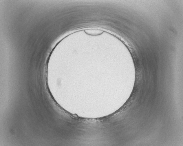 X0000115531526200912181516