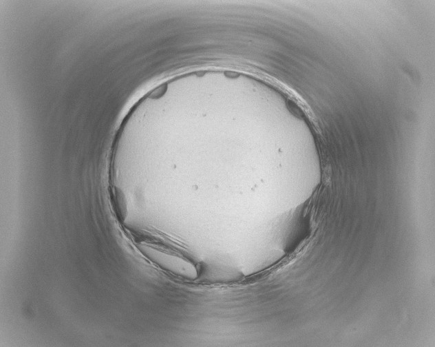 X0000115531530200912181516