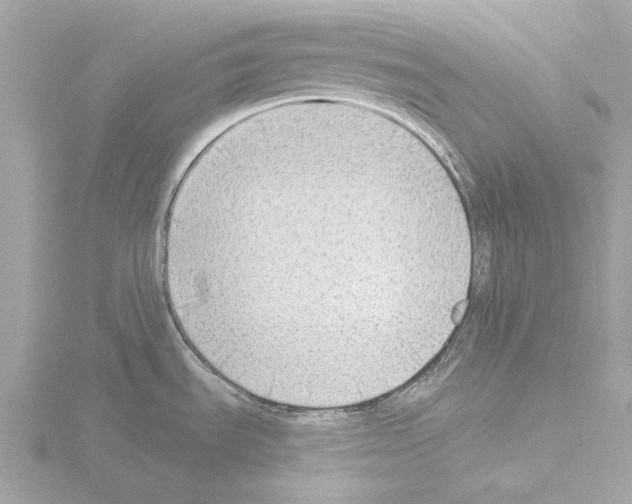 X0000115531535200912181517