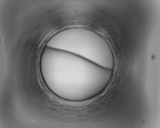 X0000115540001200911061201