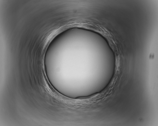 X0000115540003200911061201