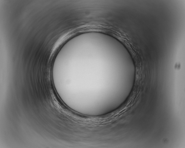 X0000115540004200911061201