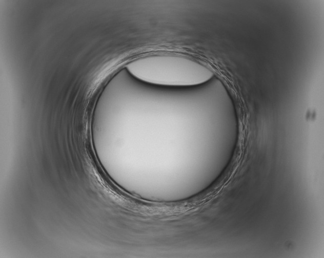 X0000115540005200911061201