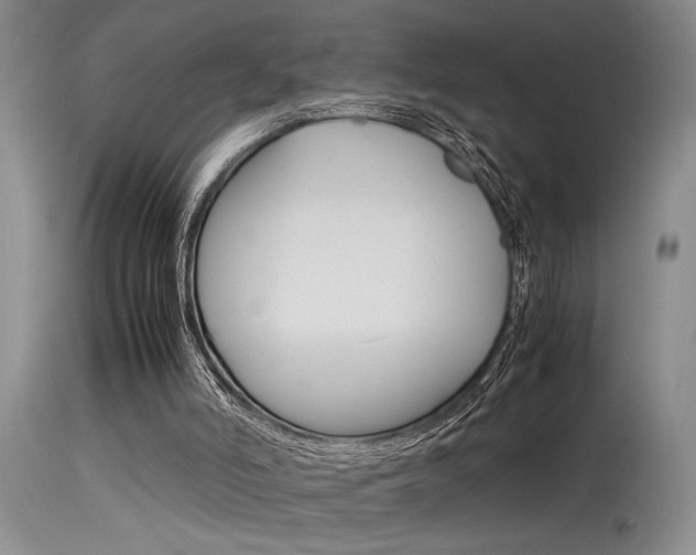 X0000115540006200911061201