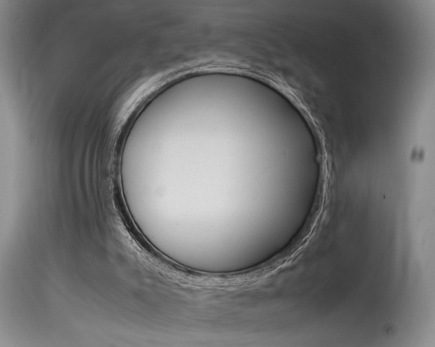 X0000115540007200911061201