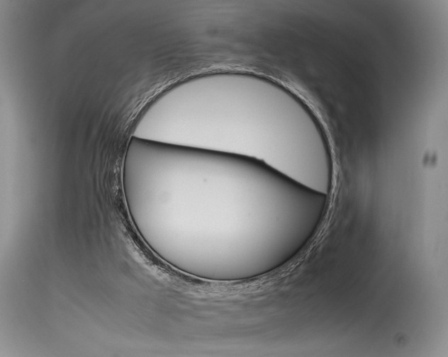 X0000115540009200911061201