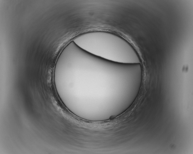 X0000115540010200911061201