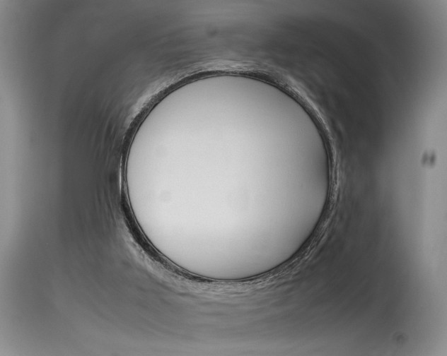 X0000115540011200911061201