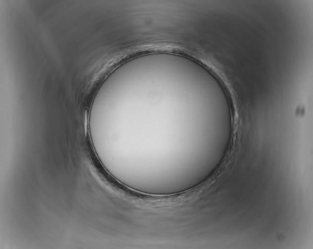 X0000115540013200911061201