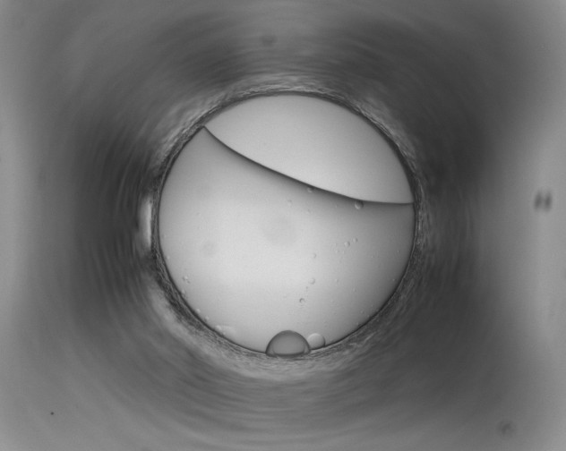 X0000115540014200911061201