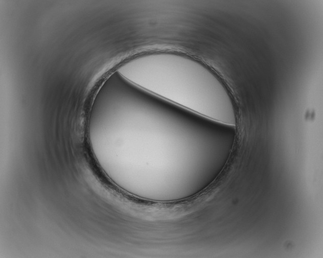 X0000115540016200911061200