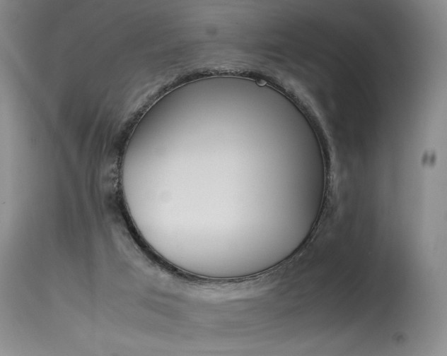 X0000115540017200911061200