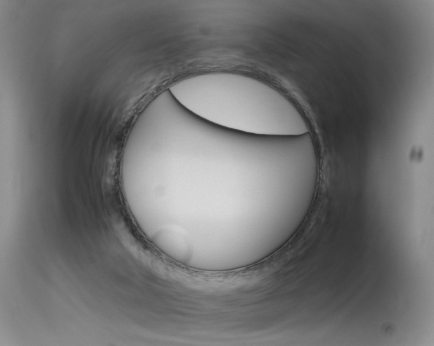 X0000115540018200911061200