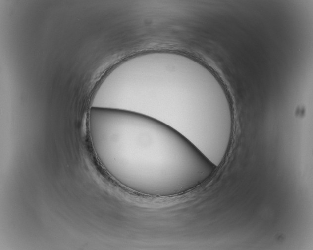 X0000115540019200911061200