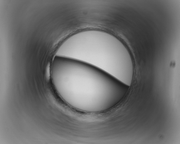 X0000115540020200911061200