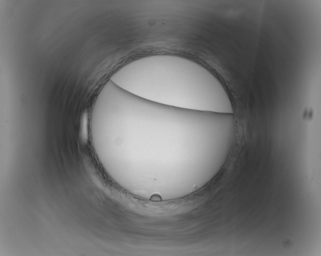 X0000115540022200911061200