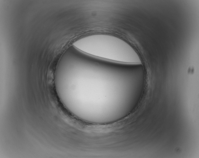 X0000115540025200911061200