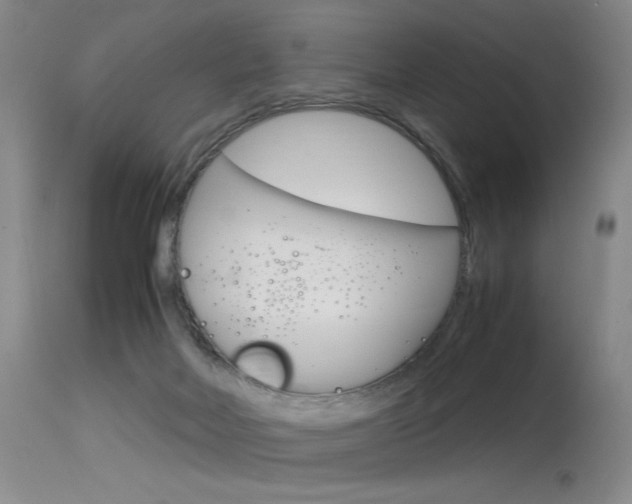 X0000115540026200911061200