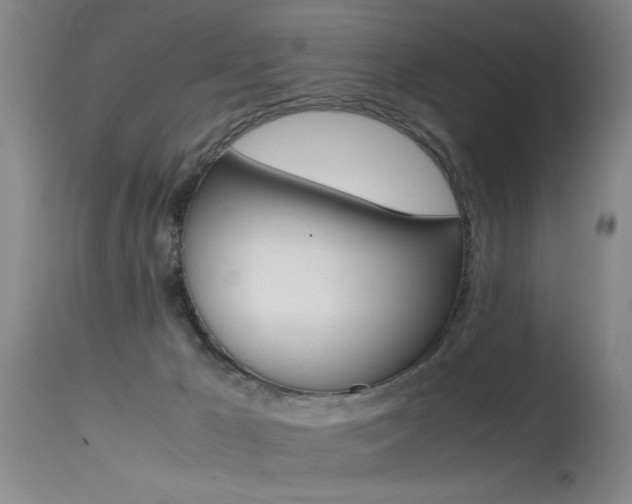 X0000115540029200911061200