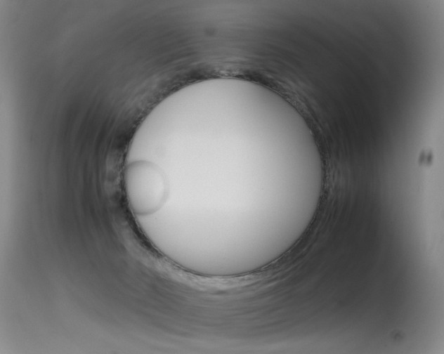 X0000115540030200911061200