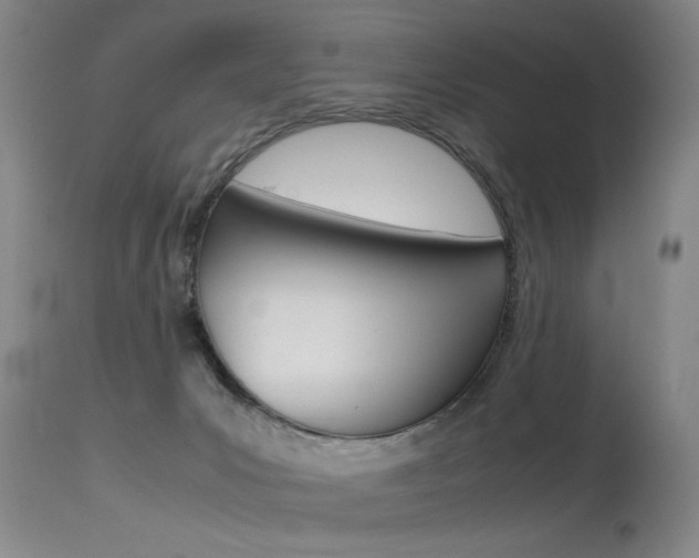 X0000115540031200911061200