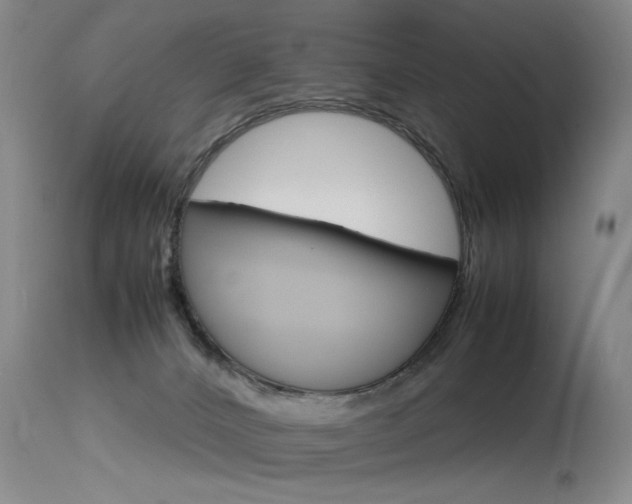 X0000115540032200911061200