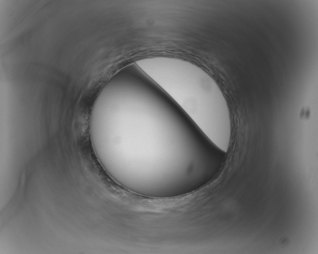 X0000115540033200911061200