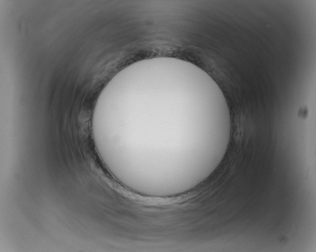 X0000115540034200911061200